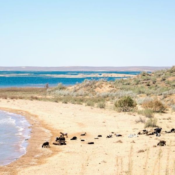 essentiels-ouzbekistan