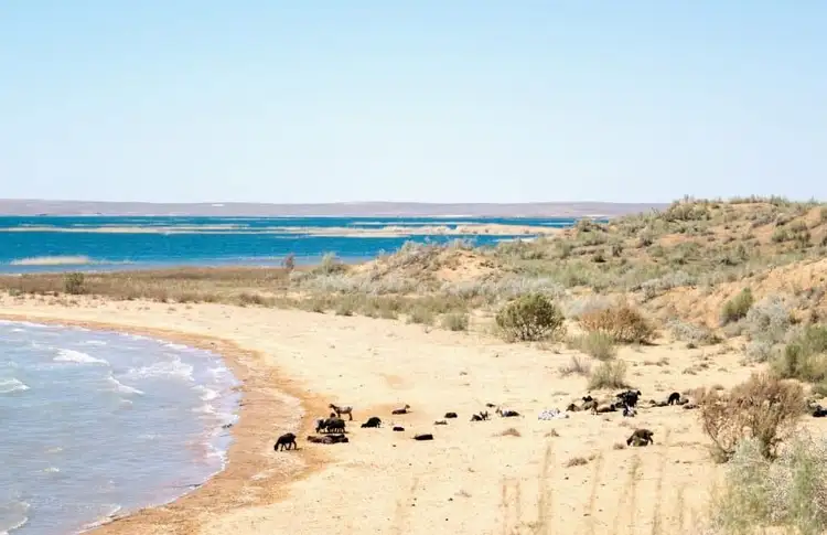 essentiels-ouzbekistan