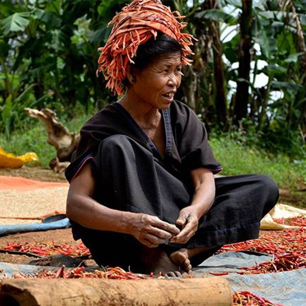 coeur-triangle-or-trek-pays-shan