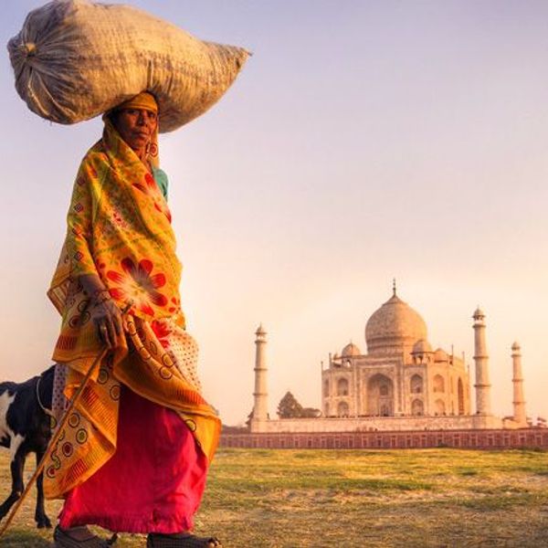 on-the-tracks-of-the-yeti