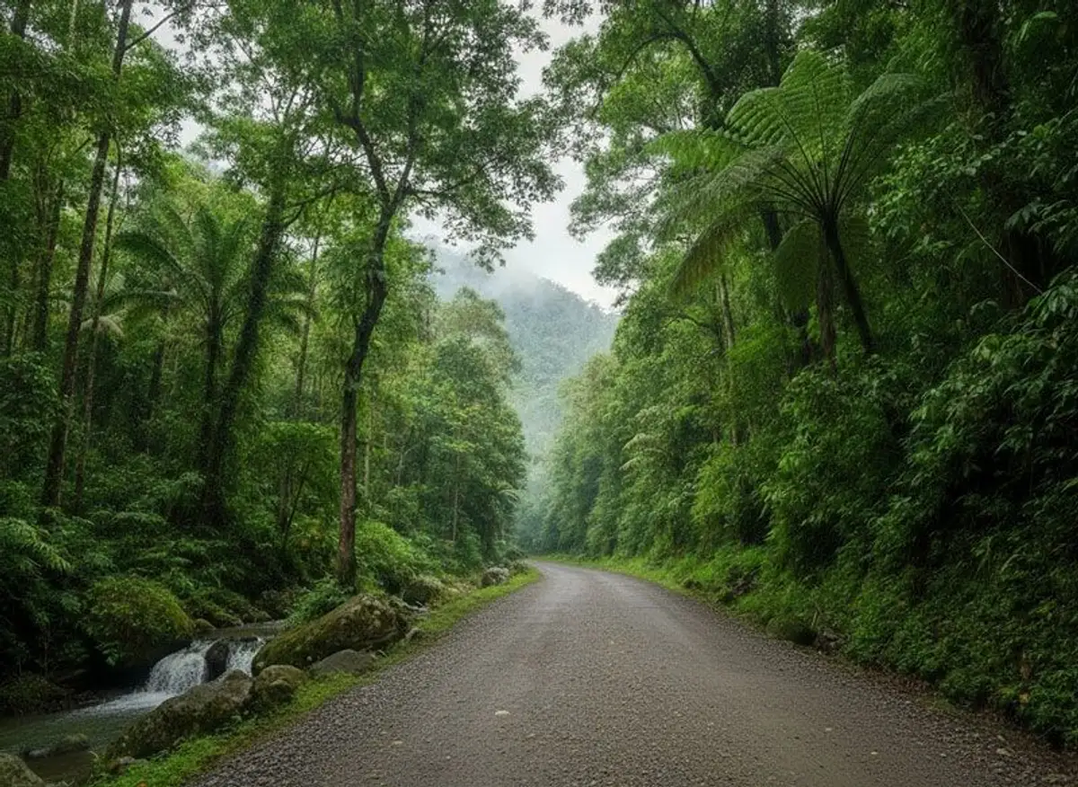 Auf dem Weg durch den Regenwald von Sulawesi