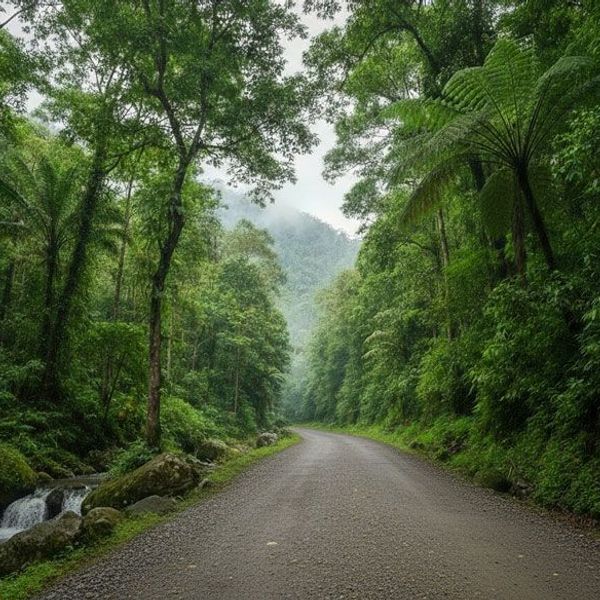 Auf dem Weg durch den Regenwald von Sulawesi