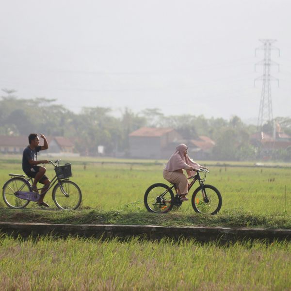 Voyage en Indonésie : Locaux faisant du vélo au milieu de rizières