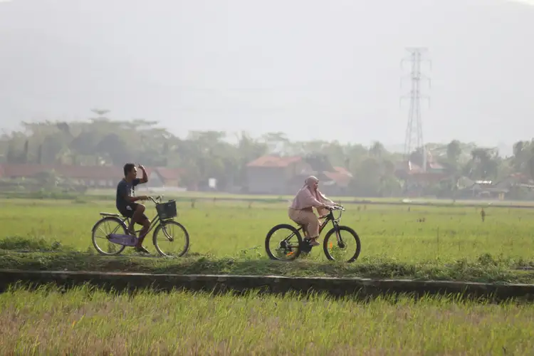 Voyage en Indonésie : Locaux faisant du vélo au milieu de rizières
