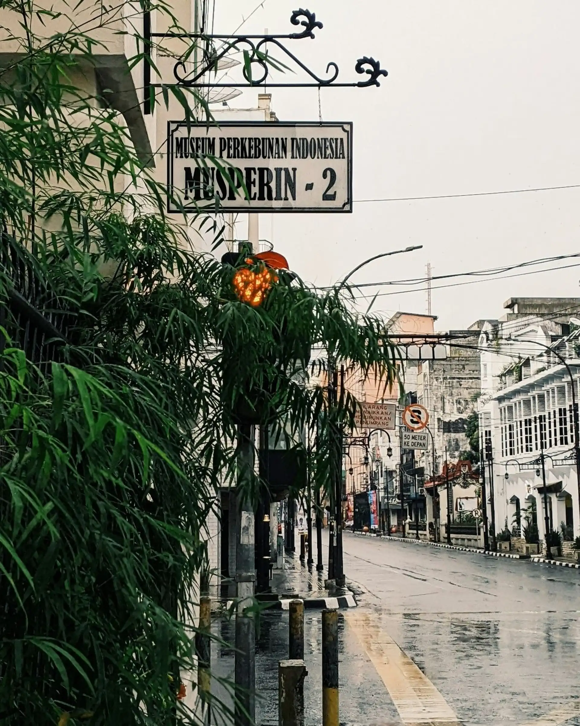 Partie de rue décorée par des arbustes