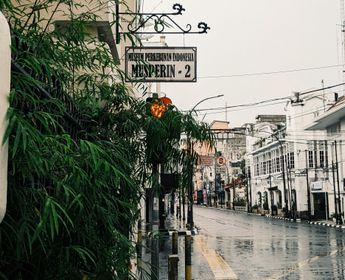 Partie de rue décorée par des arbustes