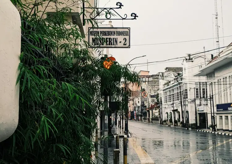 Partie de rue décorée par des arbustes