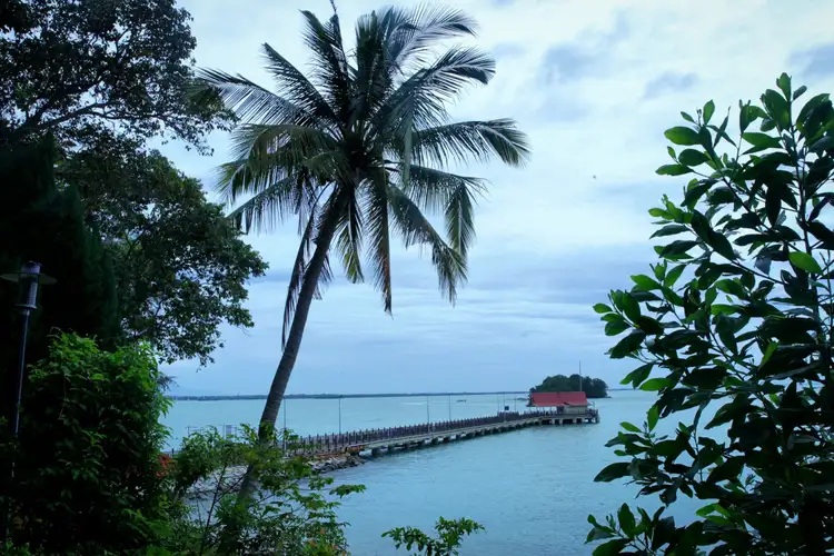 Vue sur la mer cachée par des arbres