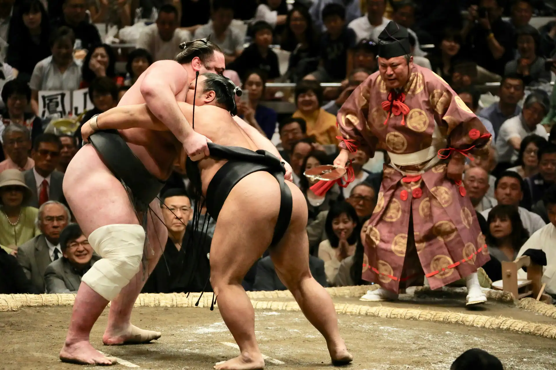 Deux lutteurs de sumo professionnels en plein combat dans le dohyō, sous le regard attentif de l'arbitre traditionnel, lors d'un tournoi au Japon.
